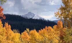 Fall Season